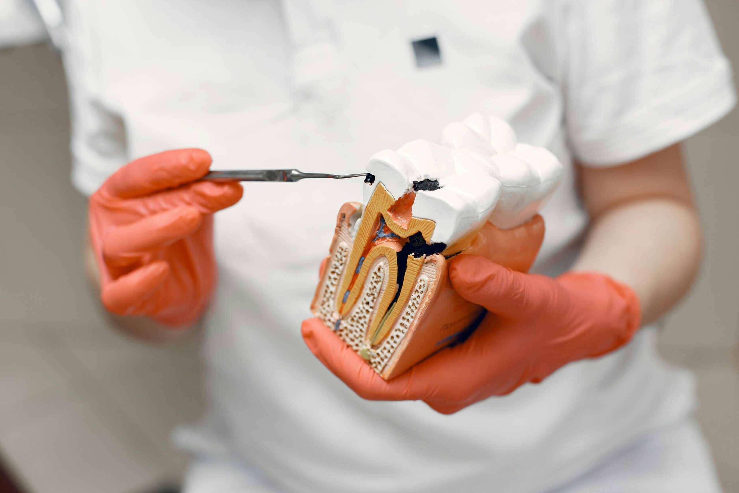 What Is Tooth Enamel and Why Does It Matter?